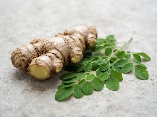 Ginger (Zingiber officinale): Clinical Benefits, Active Gingerols & Safety Precautions